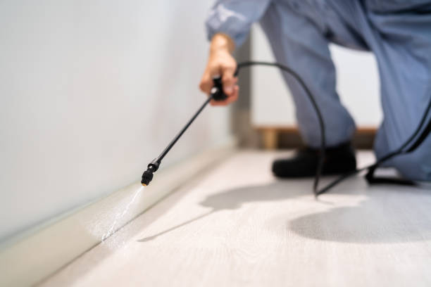 Licensed Pest Control service in Hillsboro, TX - Show Me Pest Control