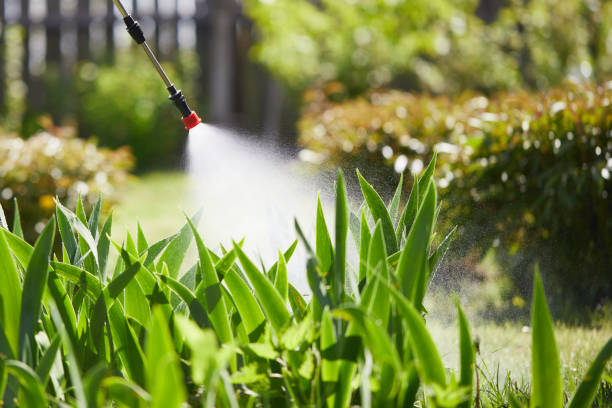 24/7 Emergency Mosquito Control experts in Hillsboro, TX