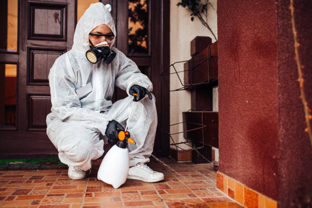 Reliable Mosquito Control contractor in Hillsboro, TX by Show Me Pest Control